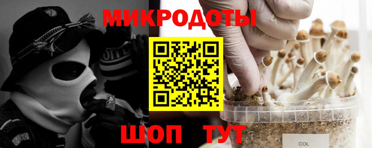 Янаул  Галлюциногенные грибы ЛСД  Вход с VPN 