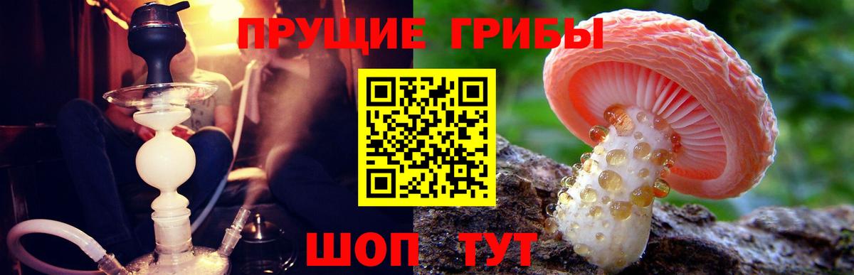 Псилоцибиновые грибы мицелий Янаул